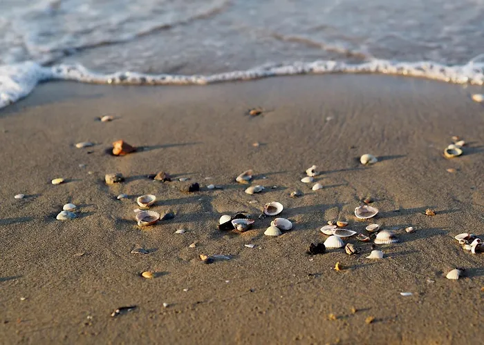 Lejlighed Cozy With Terrace Bibione