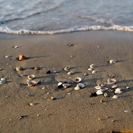 Διαμέρισμα Cozy With Terrace Μπιμπιόνε